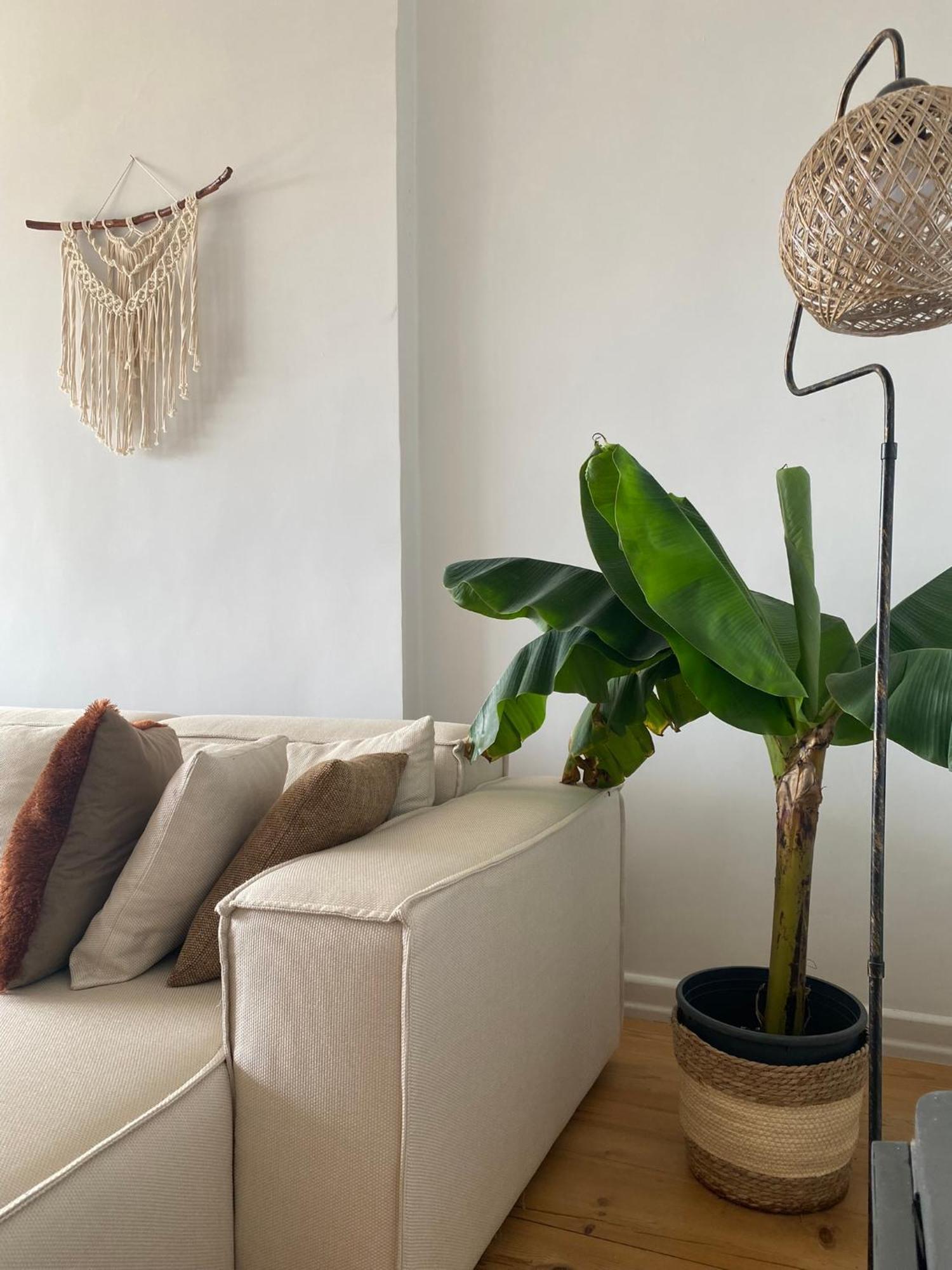Fantastic Golden Horn View In Beyoglu, Cozy Design Διαμέρισμα Κωνσταντινούπολη Εξωτερικό φωτογραφία
